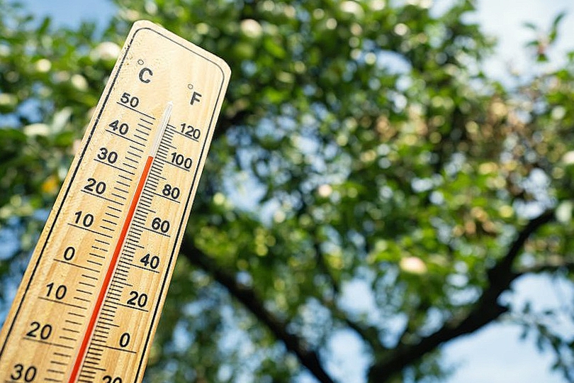 El Niño forecasts a warmer winter in South Africa.